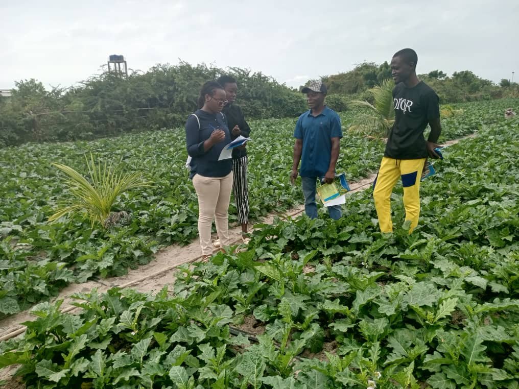 Légumes certifiés SPG
